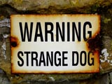 Warning Strange Sign